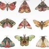 jbellscloset18